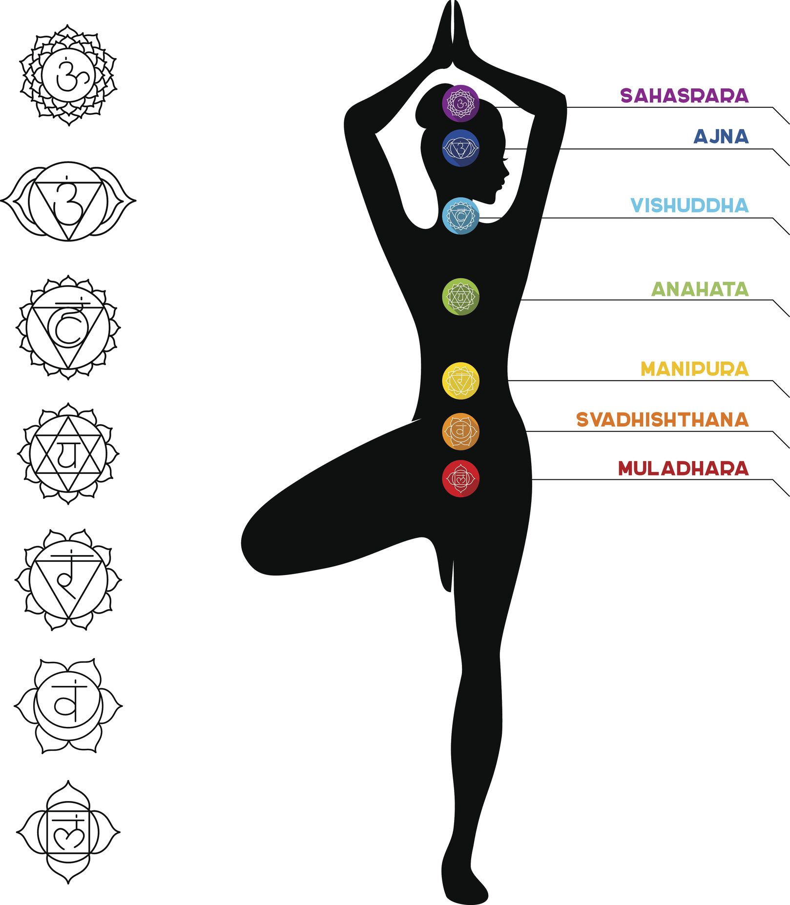 Графические символы человека. Леонардо да винчи человек в круге. 8 чакра человека. Чакры человека символы. Изображение человека в круге.